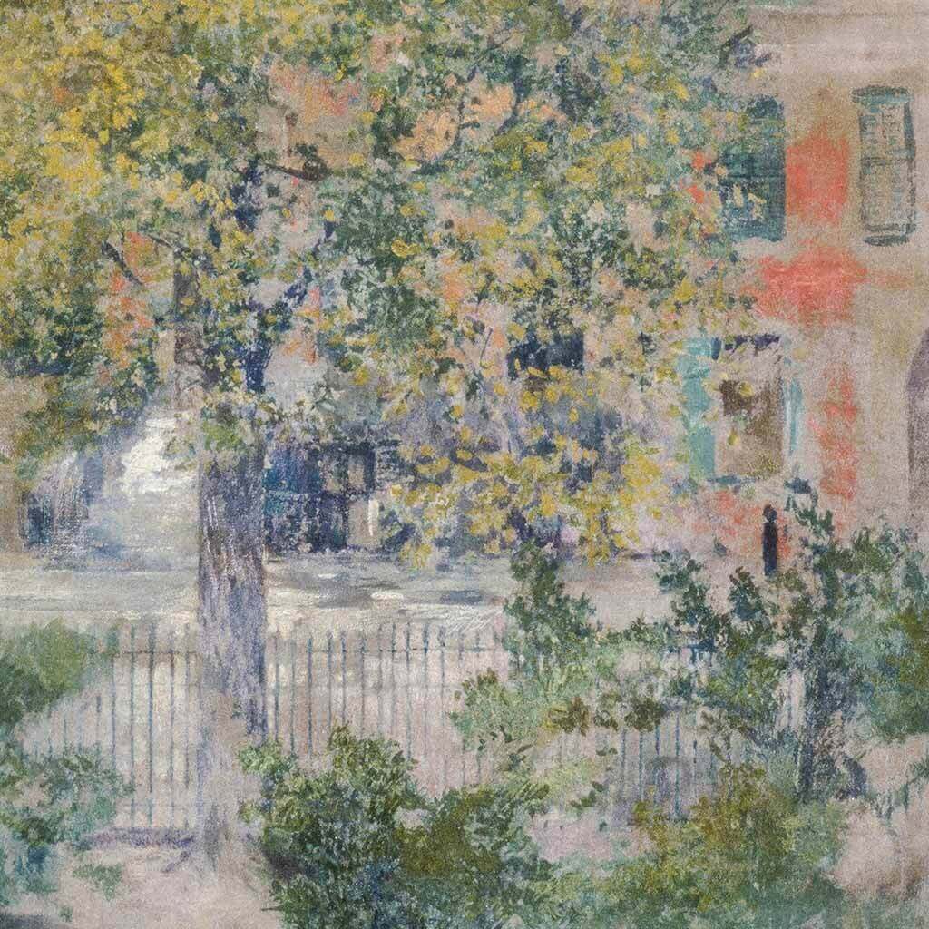 View from the Window