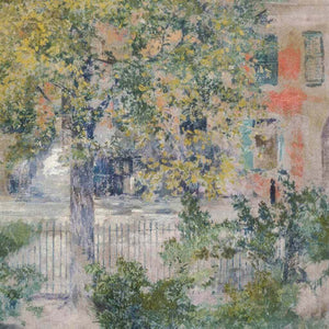 View from the Window