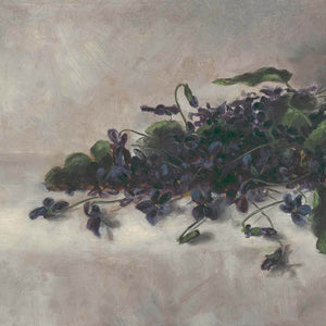Violets