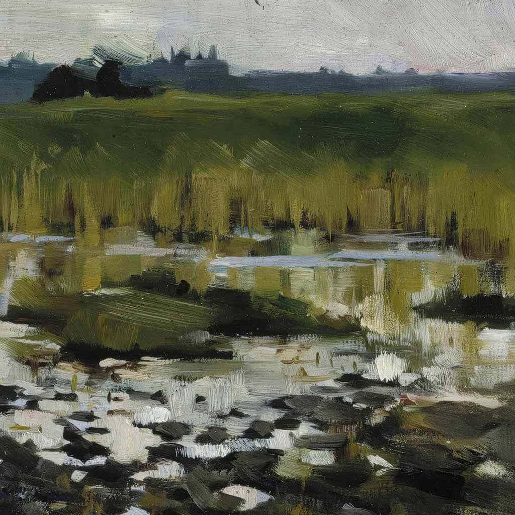 Wetlands in Morning Mist
