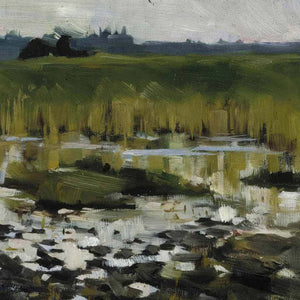 Wetlands in Morning Mist