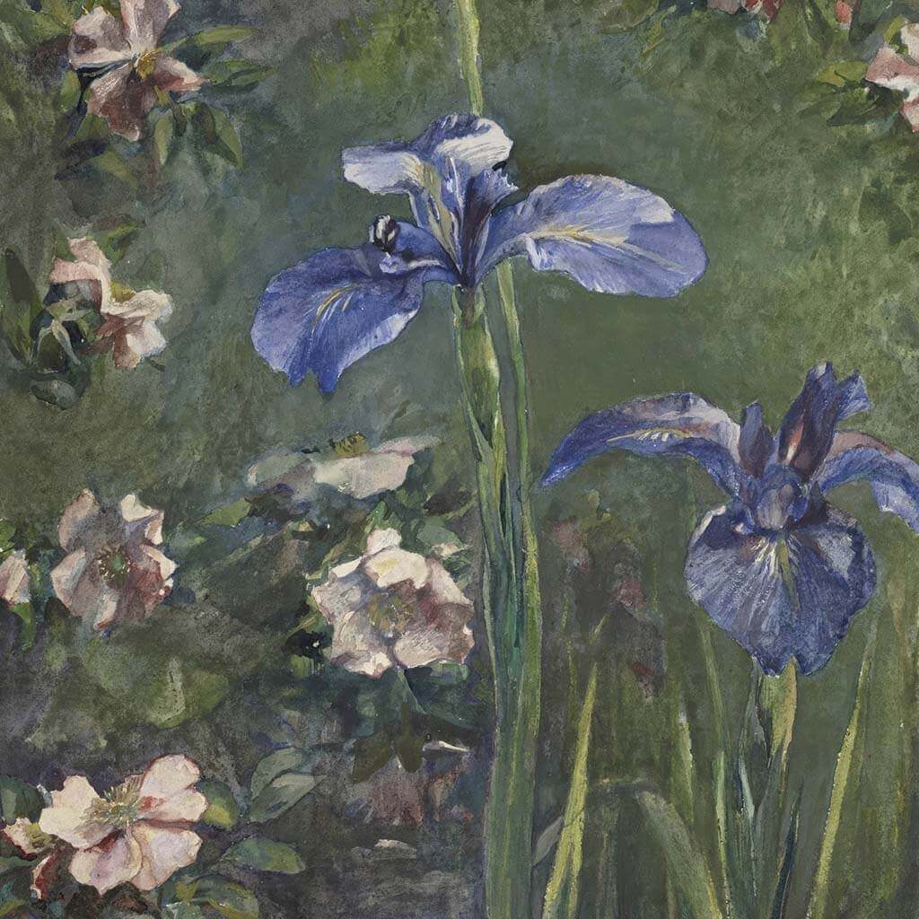 Wild Roses And Irises