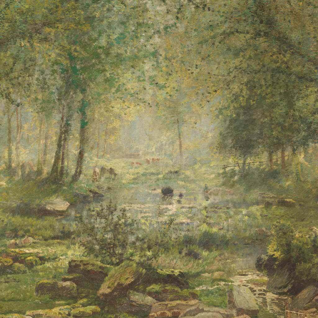 Woodland Stream