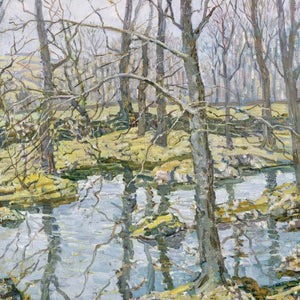 Woodland Stream II