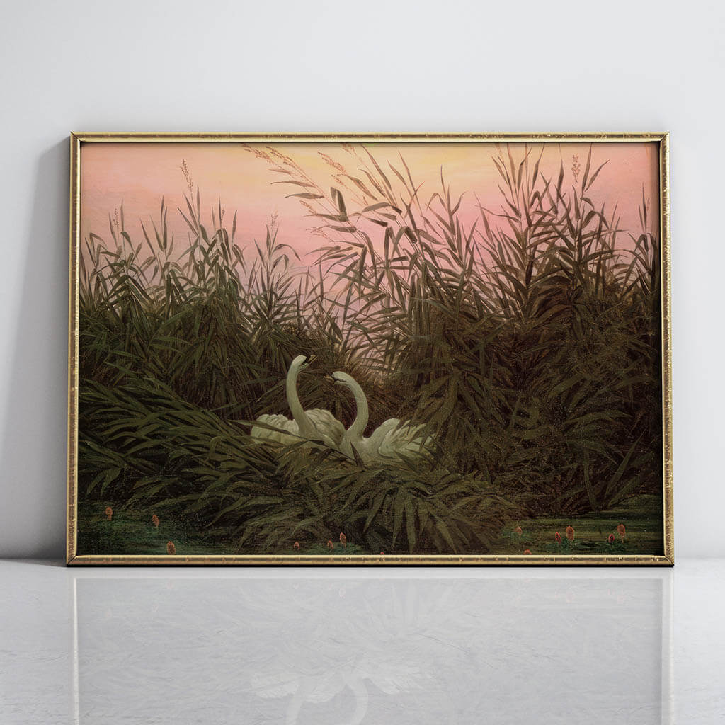 Swans in the Reeds Artwork