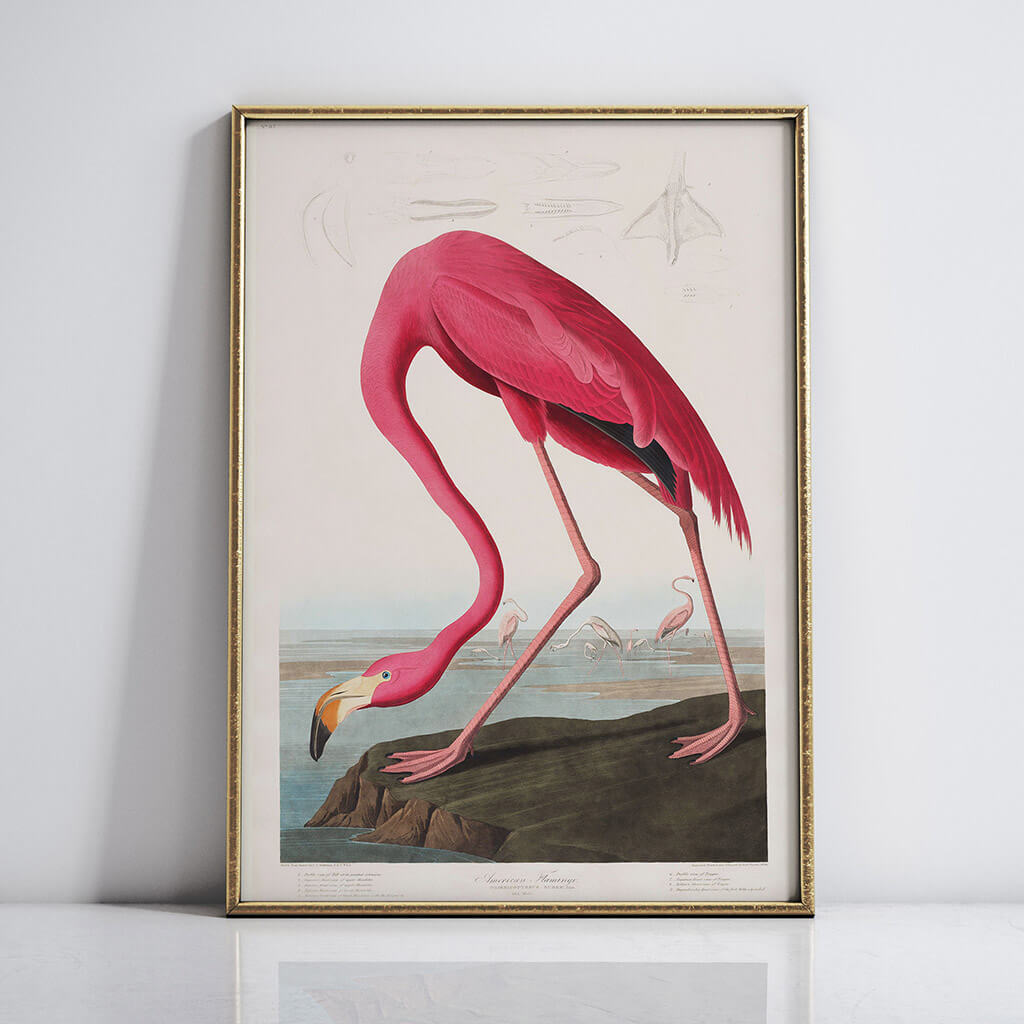 Flamingo Artwork 