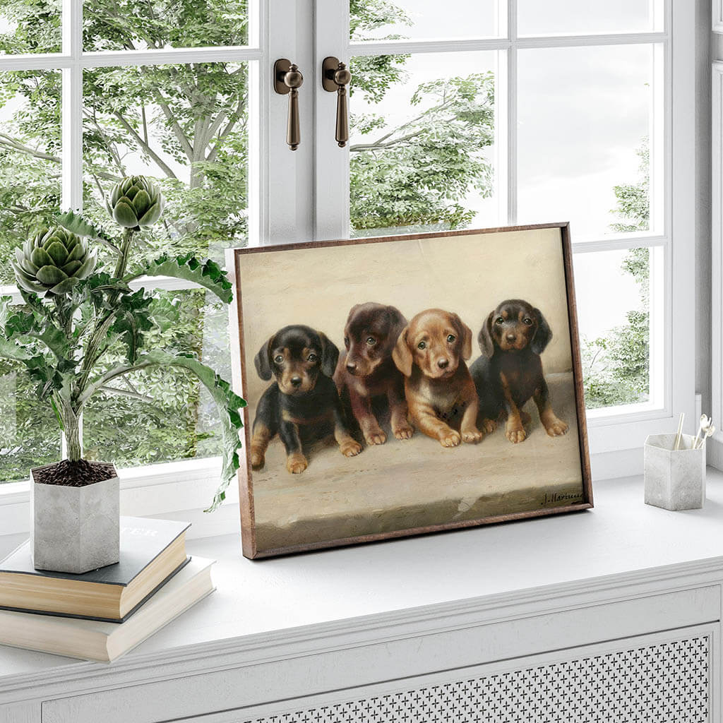 Four dachshund puppies Digital Art Prints
