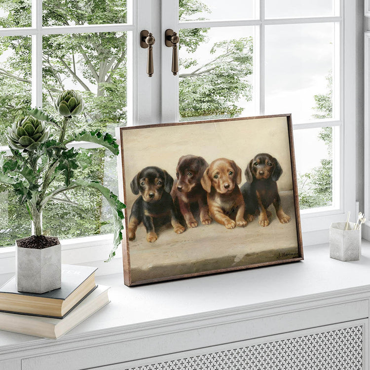 Four dachshund puppies Digital Art Prints