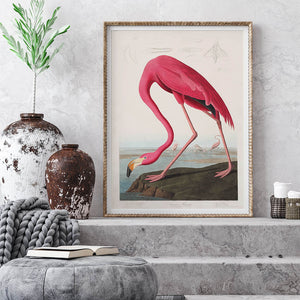 Flamingo Digital Art Prints