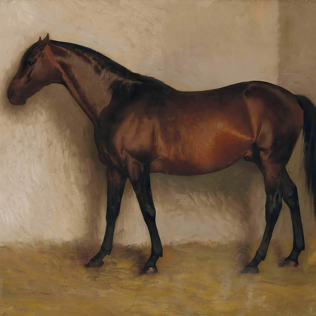 Evocative Horse Art Digital Painting