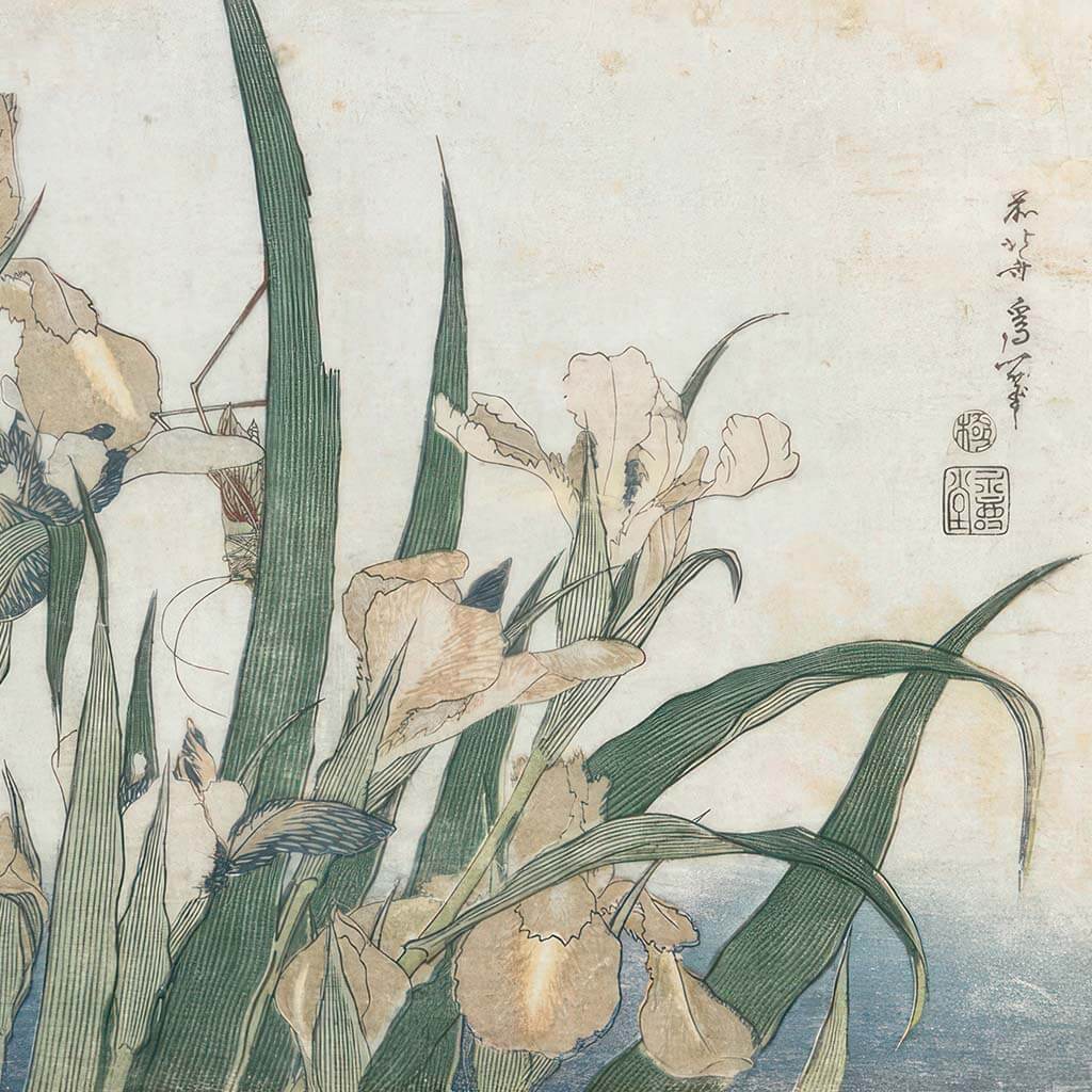 Iris Flowers and Grasshopper Downloadable Wall art