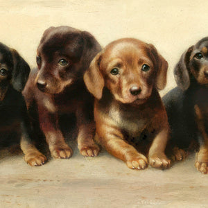 Four dachshund puppies Printable Wall Art 