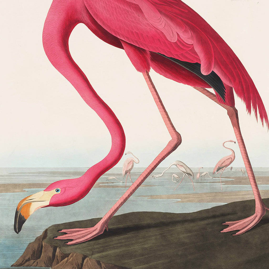 Flamingo Printable Wall Art