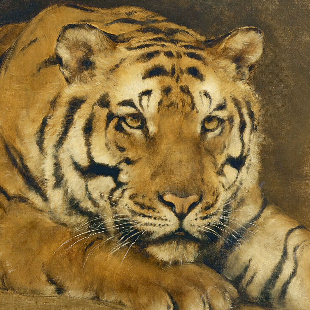Tiger Digital Art Prints 