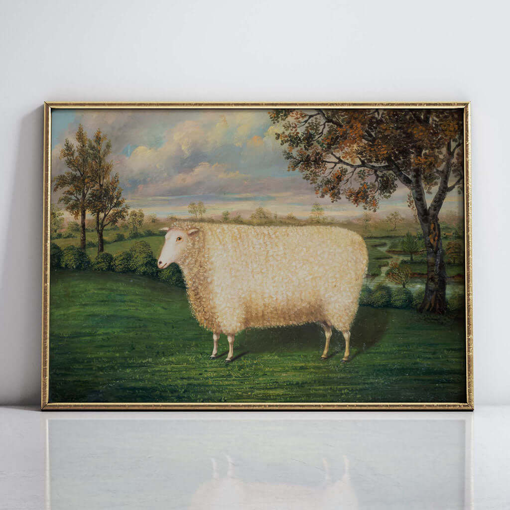 A Prize Sheep of the Old Lincoln Breed