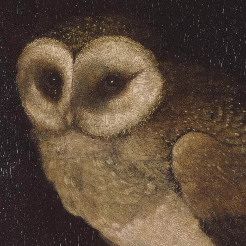 An Owl Printable Wall Art