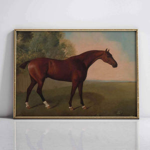 Bay Horse In A Field Artwork