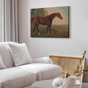 Bay Horse In A Field Art Prints