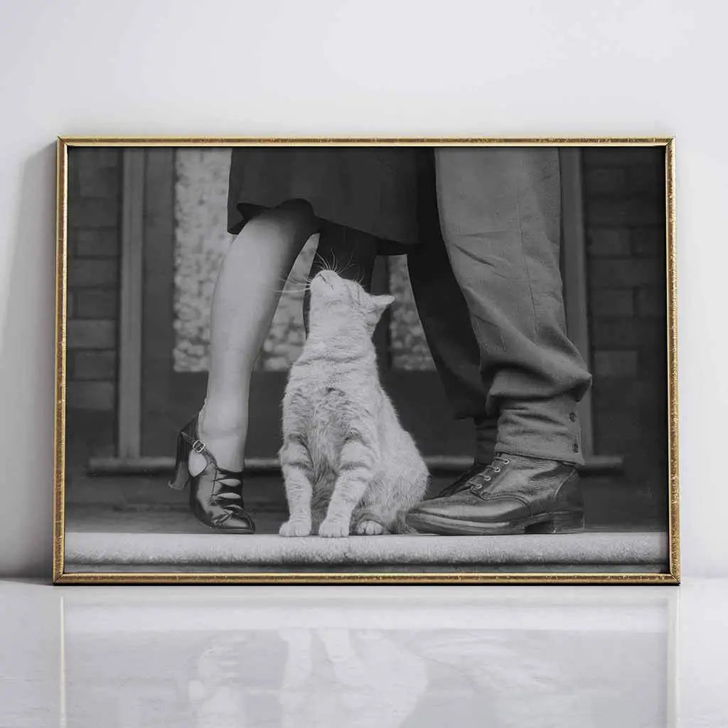 Cat and Couple Artwork 