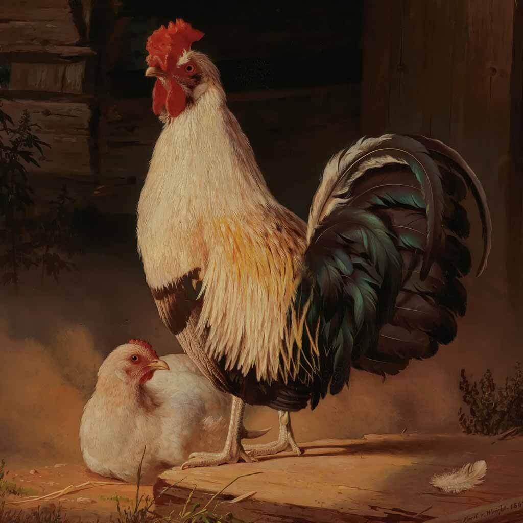 Cock And Hen Art Painting