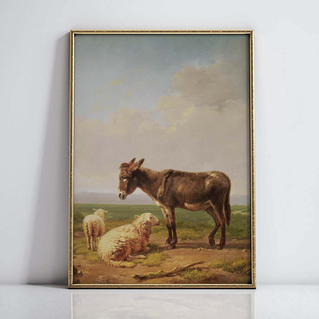 Donkey And Sheep