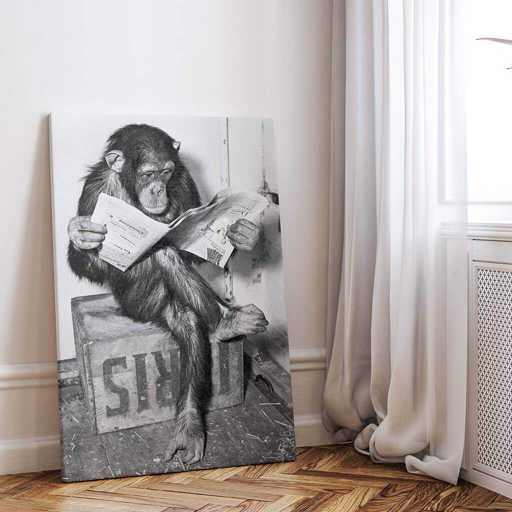 Chimpanzee Reading Newspape Digital Art Posters