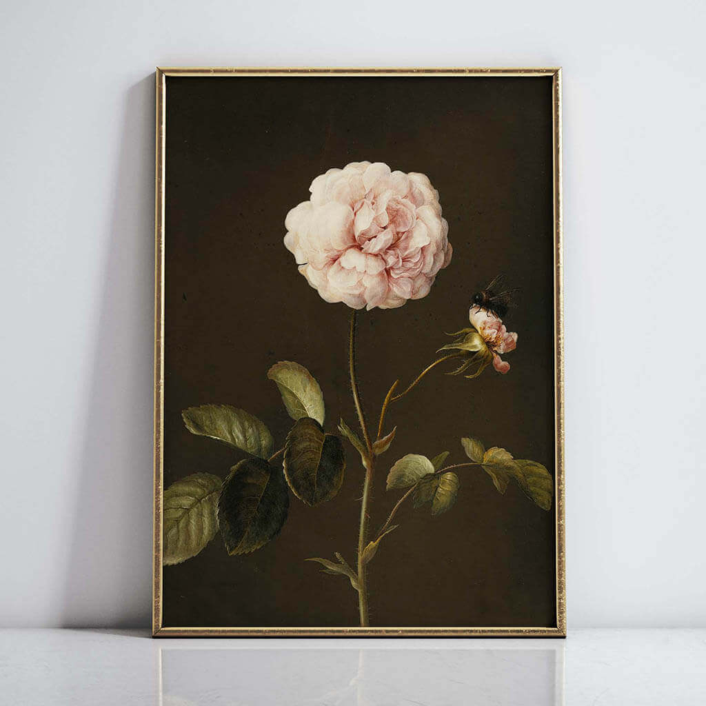 Gallica Rose Art Painting