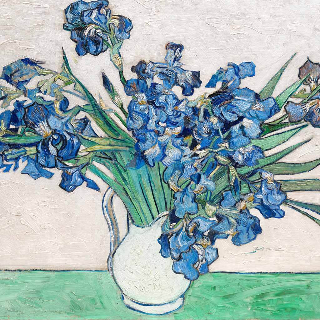 Vincent Van Gogh's Irises 1890