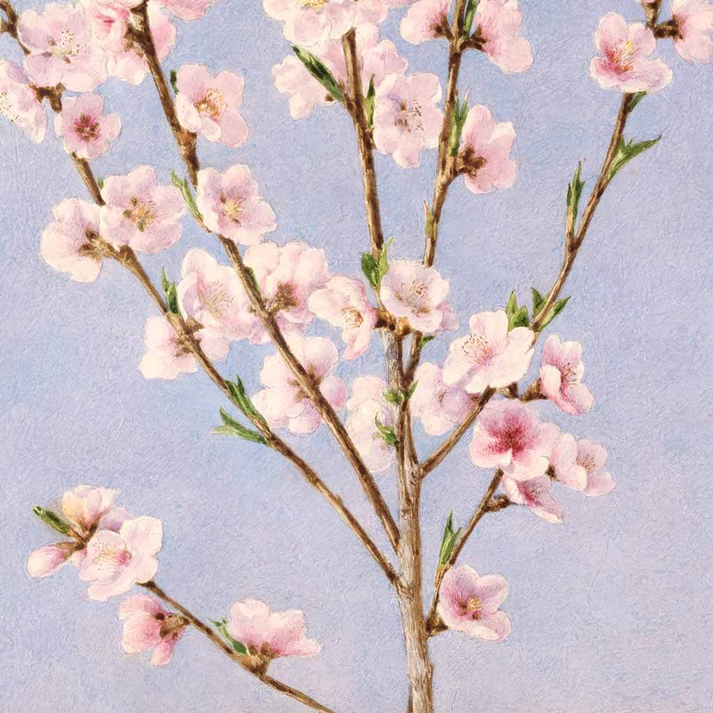 Peach Blossoms Art Painting