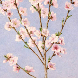 Peach Blossoms Art Painting Printable Wall Art