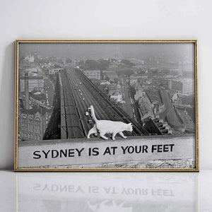Sydney is at your feet Downloadable Art