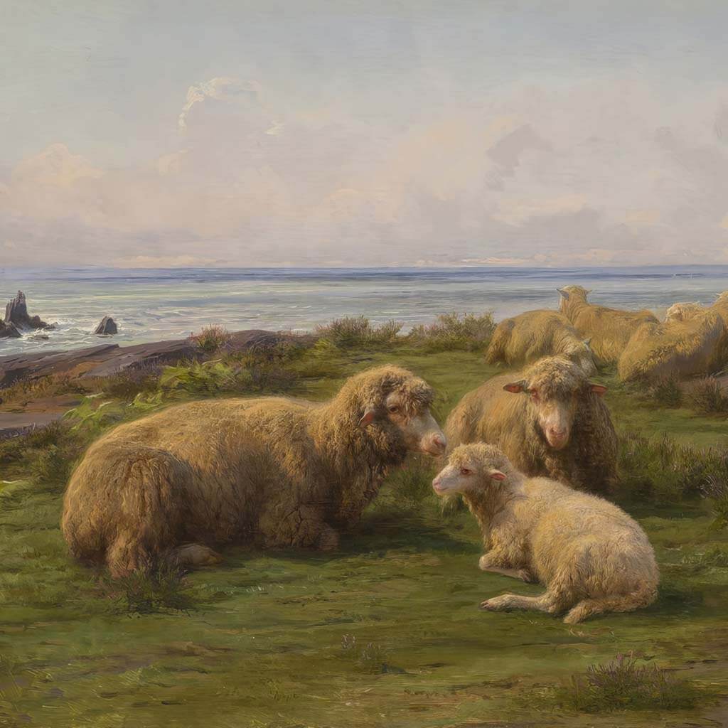 Sheep by the Sea Prints and Canvases