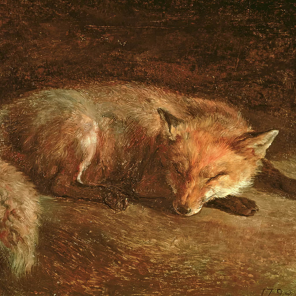 Sleeping Fox Artwork