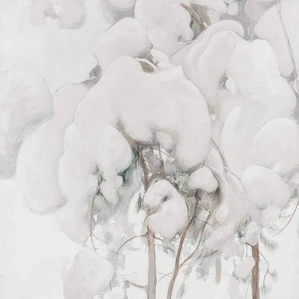 Snow-Covered Pine Saplings Downloadable Art