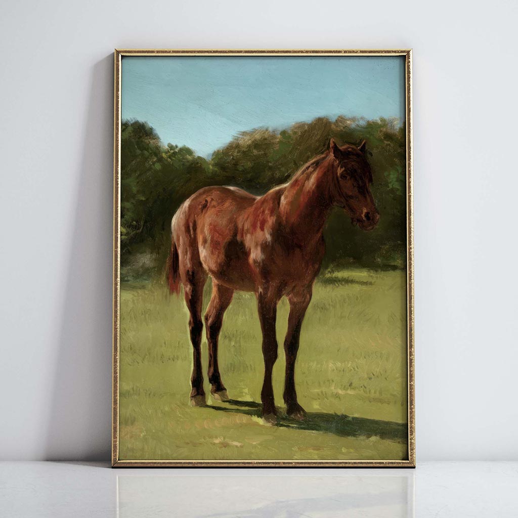 Study Of Horses