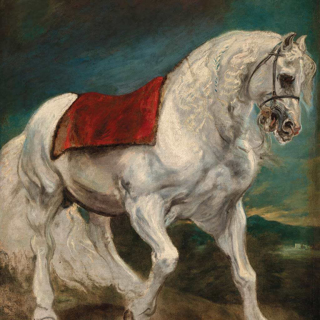 Study of a White Horse Printable Art