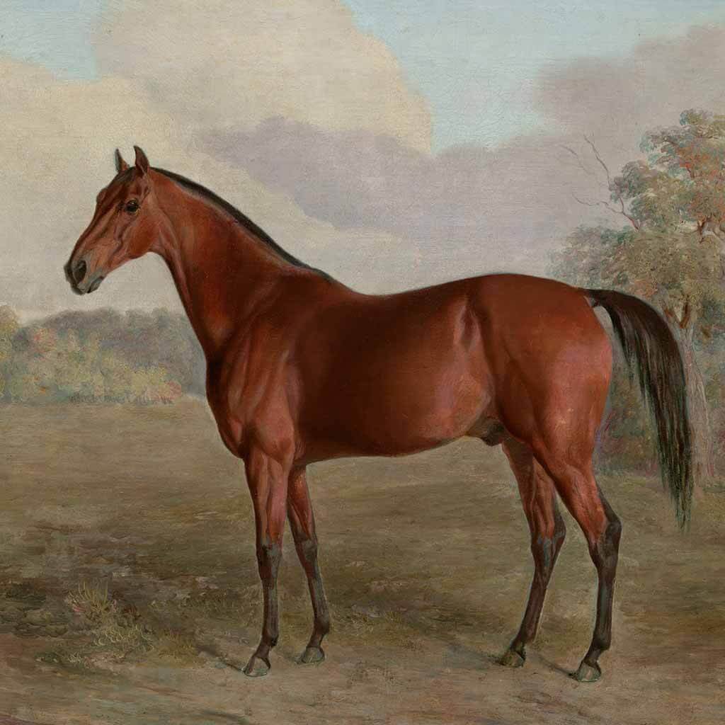 Vintage Horse Painting Art Painting