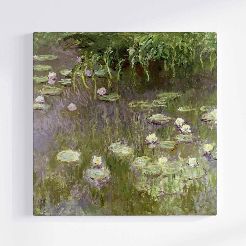 Waterlilies at Midday